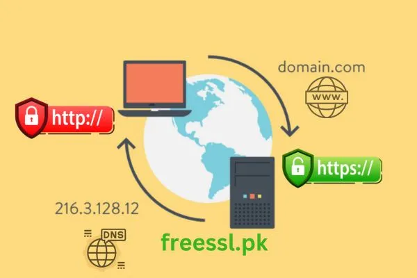 Select Your Domain Verification Method